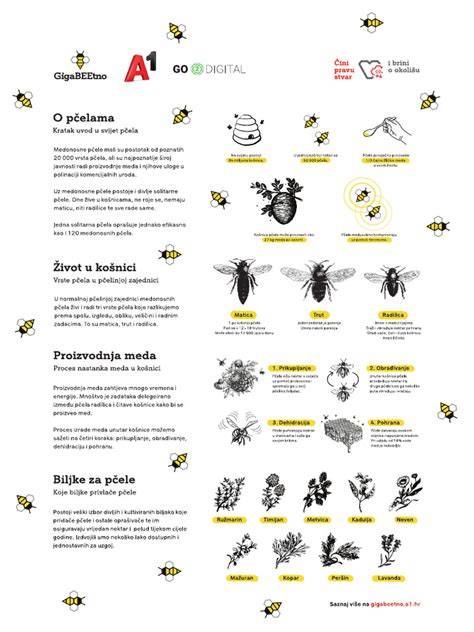 infografika o samonosné sedacke a instalaci