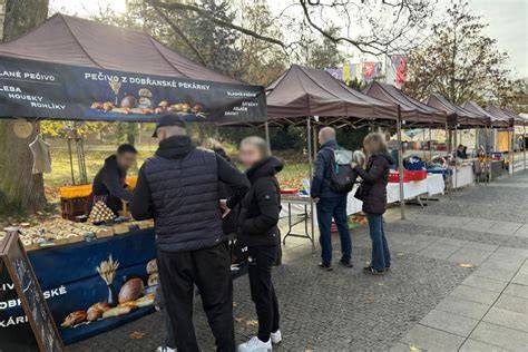 přehled sortimentu košíků a nosičů