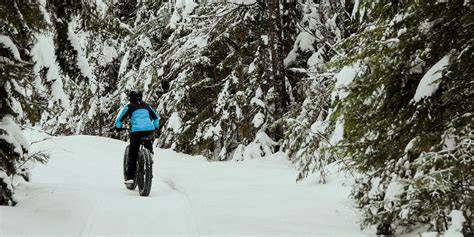 obrazek fatbike teren les