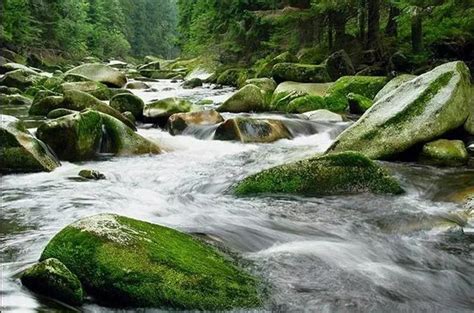 Šumava a Rejštejn
