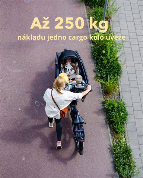 grafika rozložení nákladu na kolo