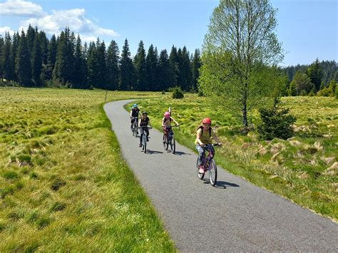 Silniční cyklistický závod na Šumavě