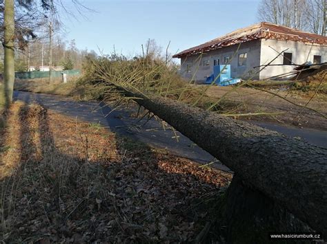 Padlý strom na komunikaci u Chrasti