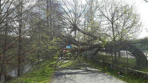 Strom spadlý na cyklostezku u lávky