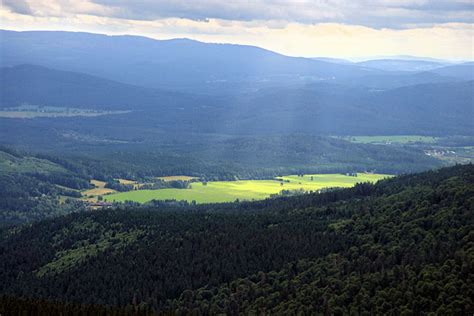 Panoramatický výhled z Vídeňského lesa