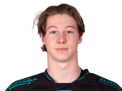 Petr Tomek hokejové sólo extraliga