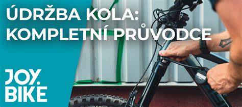 Ekologická výroba jízdního kola Alpina