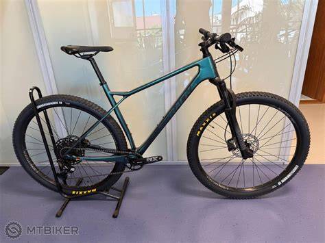 Hardtail horské kolo v lesním terénu