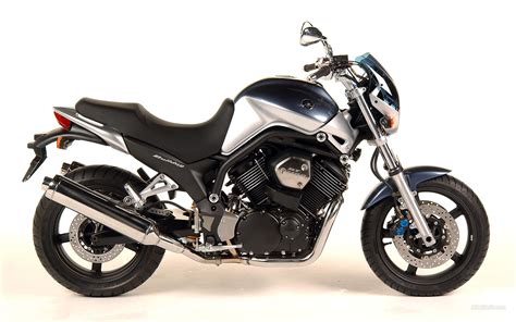 Yamaha BT 1100 Bulldog s bočními brašnami