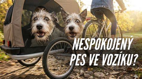 rodič s dítětem ve vozíku za kolem