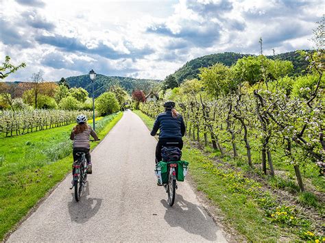 Podunajská cyklostezka mezi vinicemi Wachau
