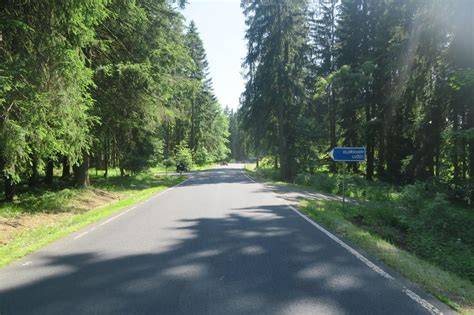 motocykl na silnici u lesa