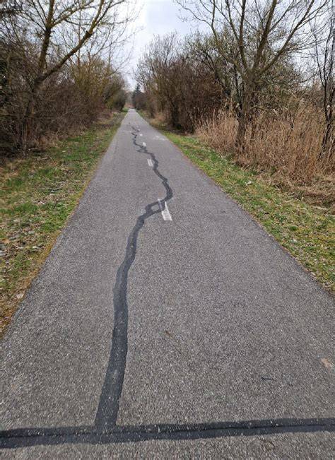 Pokládka betonového povrchu cyklostezky