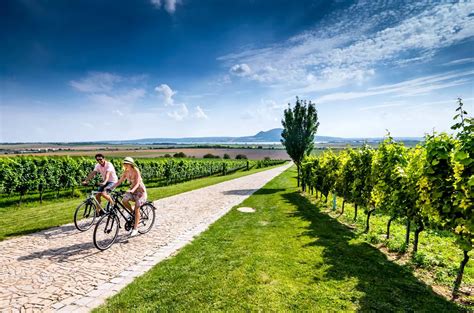 Moravská vinařská cyklotrasa mezi vinicemi
