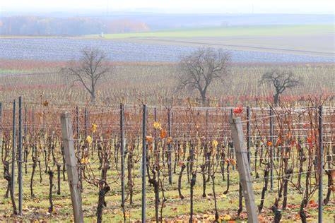 Elektrokola na cyklostezce mezi vinicemi