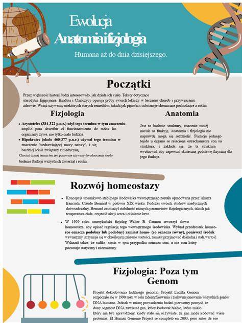 infografika o anatomii útlaku nervů