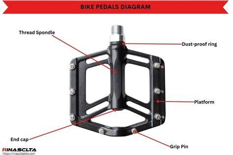 Inspecting pedal spindle and body diagram