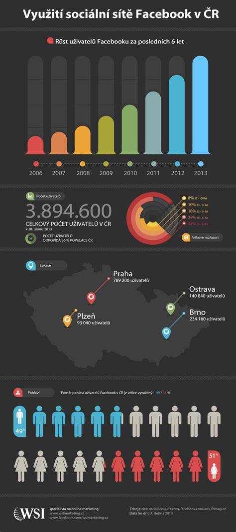 infografika: využití elektrického sekáčku