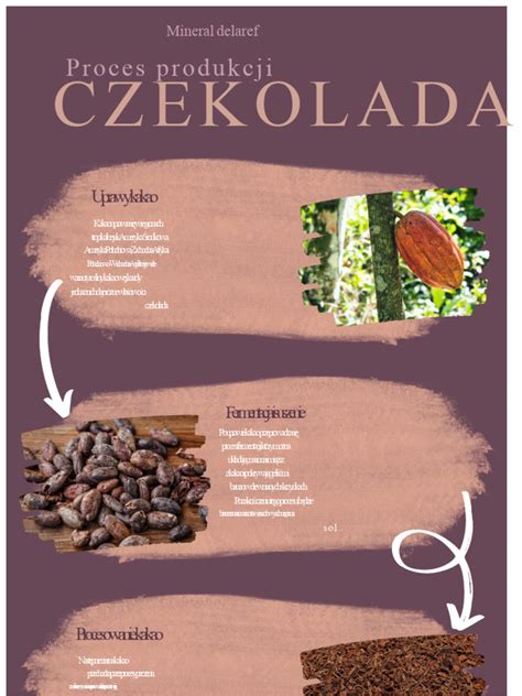 infografika - proces kontroly údajů